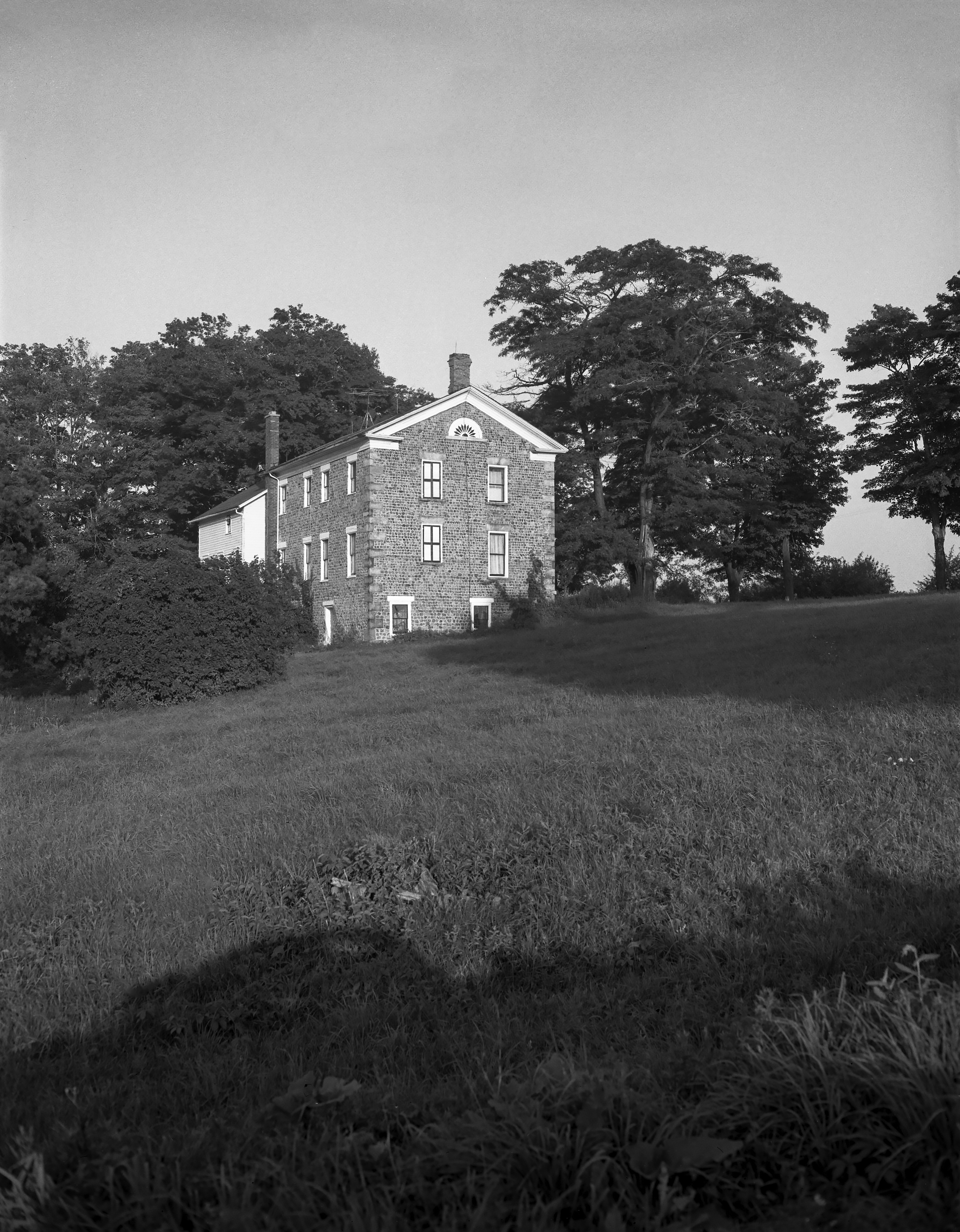 GP Orleans Shelby She-2 2-1 N